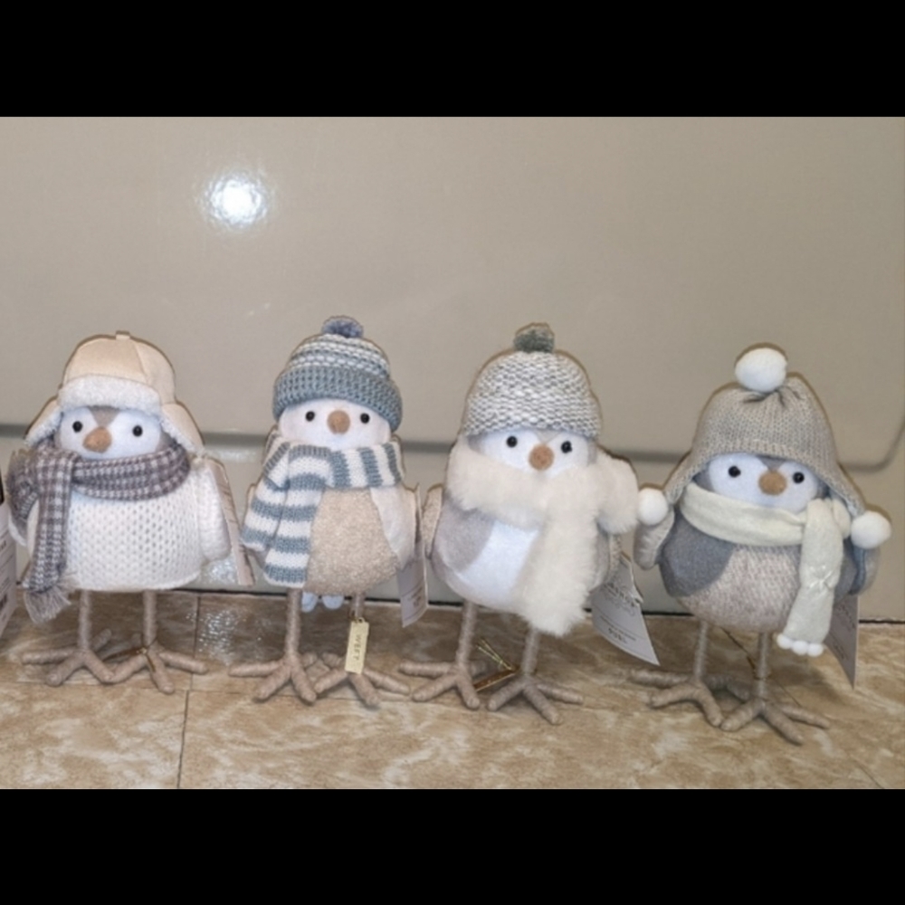 Target Spritz 2022 Christmas Birds